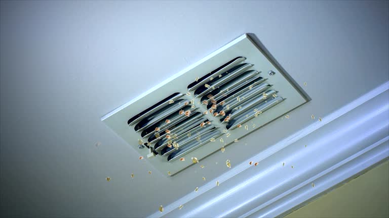 Best Home Air Vent Cleaning  in Eaton, IN