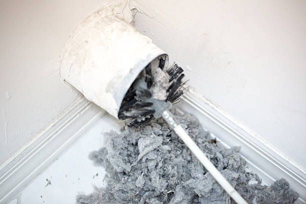 Best Air Duct Sanitizing Services  in Eaton, IN